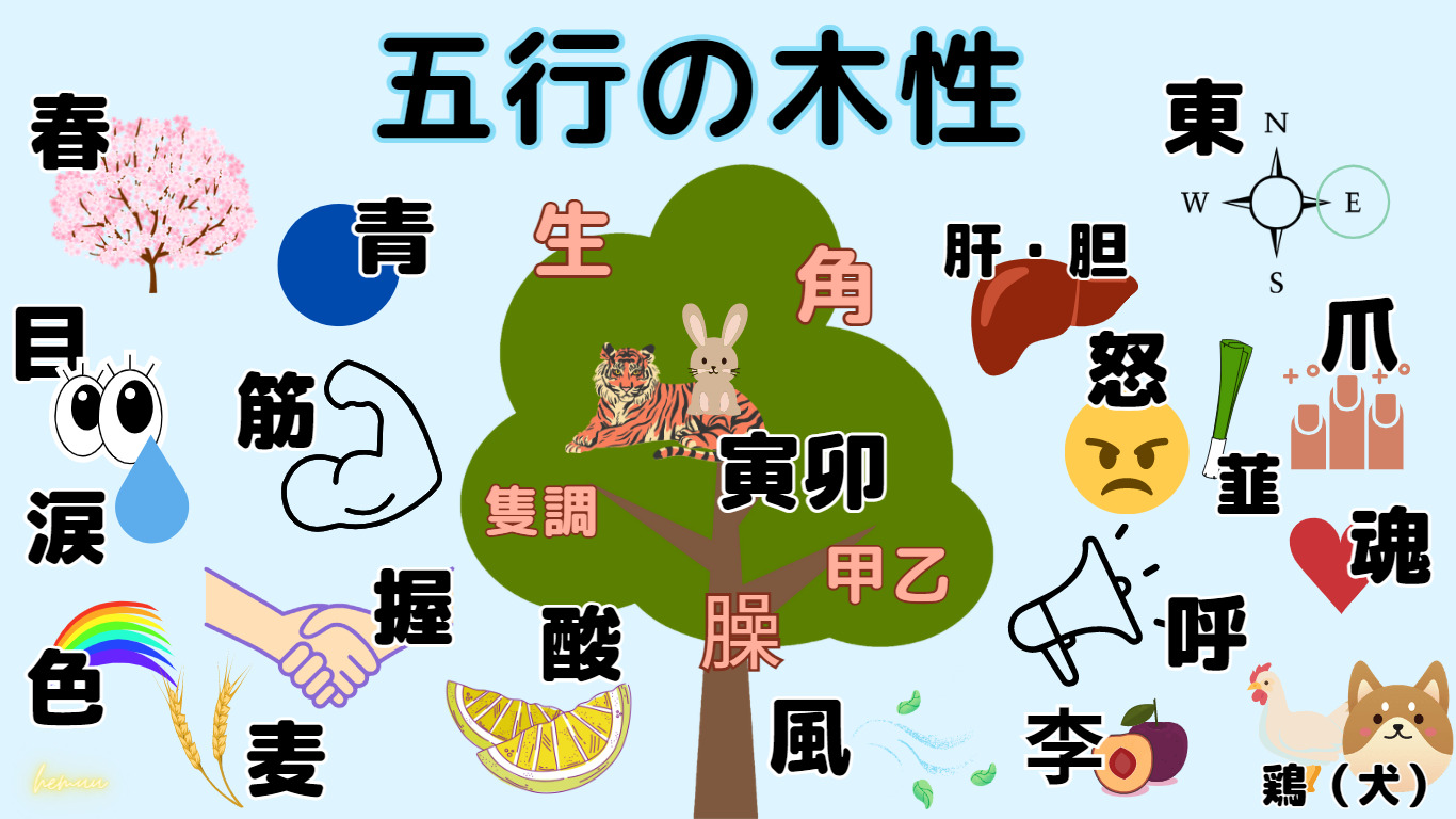 五行思想色: 五行色体表 フリー素材 – KZEOL
